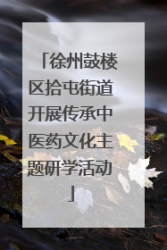 徐州鼓楼区拾屯街道开展传承中医药文化主题研学活动