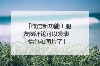 微信新功能！朋友圈评论可以发表情包和图片了