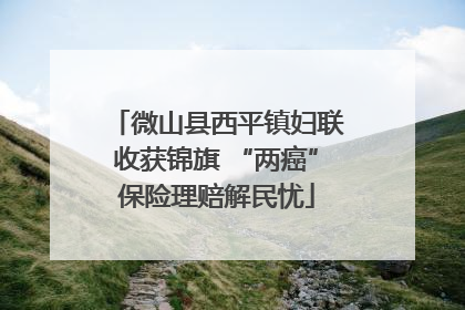 微山县西平镇妇联收获锦旗 “两癌”保险理赔解民忧