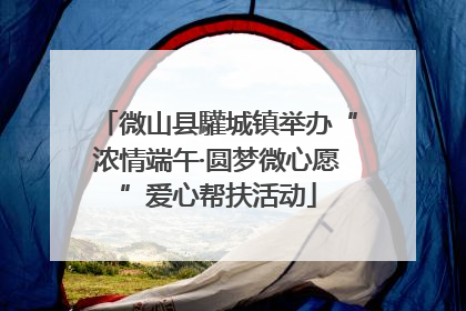 微山县驩城镇举办“浓情端午·圆梦微心愿”爱心帮扶活动