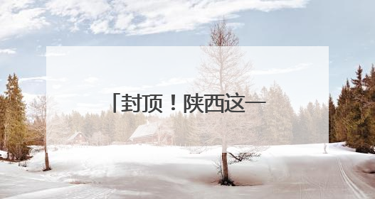 封顶！陕西这一特大型高铁枢纽站迎来重大进展！