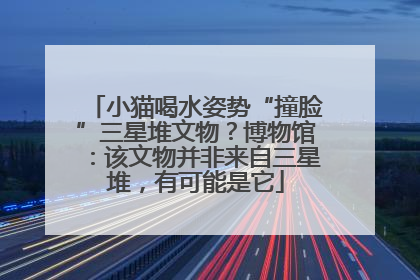 小猫喝水姿势“撞脸”三星堆文物？博物馆：该文物并非来自三星堆，有可能是它