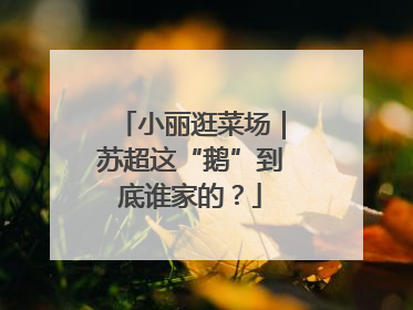 小丽逛菜场｜苏超这“鹅”到底谁家的？