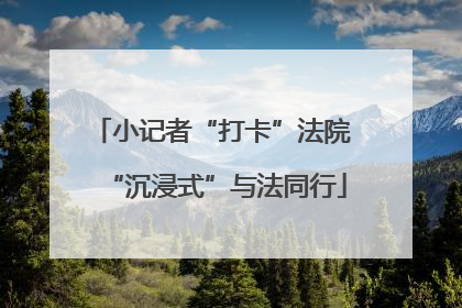 小记者“打卡”法院 “沉浸式”与法同行