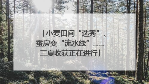 小麦田间“选秀”、蚕房变“流水线”……三夏收获正在进行