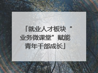 就业人才板块“业务微课堂”赋能青年干部成长