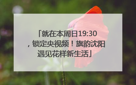 就在本周日19:30，锁定央视频！旗韵沈阳 遇见花样新生活