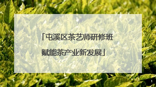 屯溪区茶艺师研修班赋能茶产业新发展