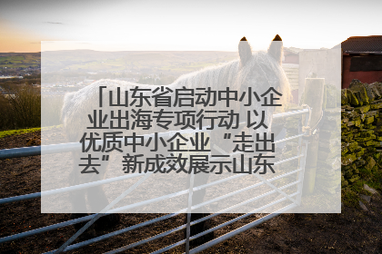山东省启动中小企业出海专项行动 以优质中小企业“走出去”新成效展示山东产业发展新形象
