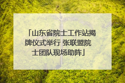 山东省院士工作站揭牌仪式举行 张联盟院士团队现场助阵