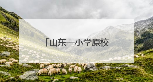 山东一小学原校长被“双开”