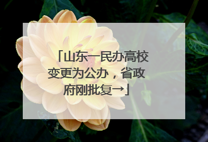 山东一民办高校变更为公办，省政府刚批复→