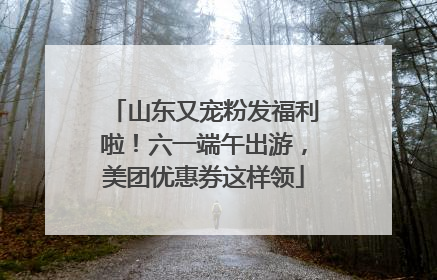 山东又宠粉发福利啦！六一端午出游，美团优惠券这样领