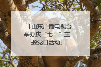 山东广播电视台举办庆“七一”主题党日活动