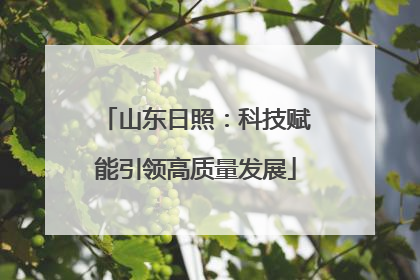 山东日照：科技赋能引领高质量发展