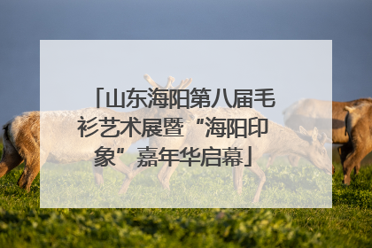 山东海阳第八届毛衫艺术展暨“海阳印象”嘉年华启幕