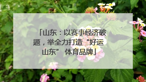 山东：以赛事经济破题，举全力打造“好运山东” 体育品牌