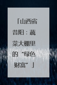 山西省昔阳：蔬菜大棚里的“绿色财富”