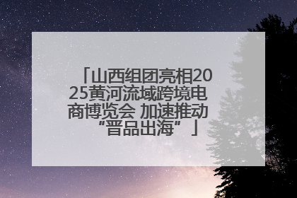 山西组团亮相2025黄河流域跨境电商博览会 加速推动“晋品出海”