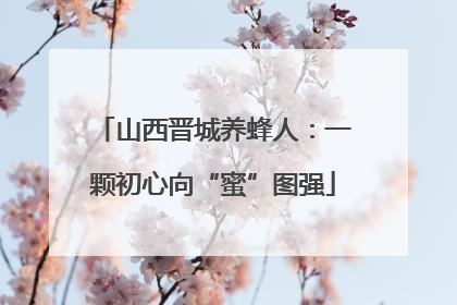 山西晋城养蜂人：一颗初心向“蜜”图强