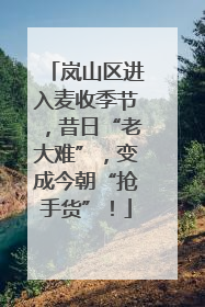 岚山区进入麦收季节，昔日“老大难”，变成今朝“抢手货”！