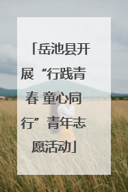 岳池县开展“行践青春 童心同行”青年志愿活动