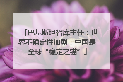巴基斯坦智库主任：世界不确定性加剧，中国是全球“稳定之锚”