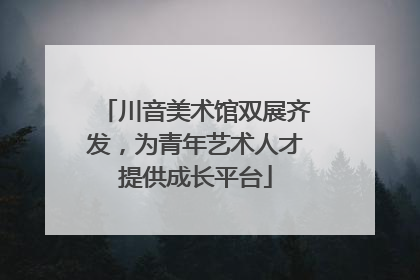 川音美术馆双展齐发，为青年艺术人才提供成长平台