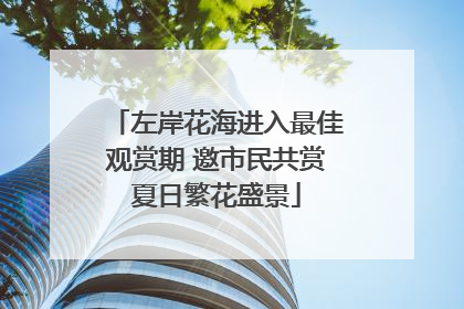 左岸花海进入最佳观赏期 邀市民共赏夏日繁花盛景