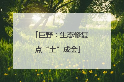 巨野：生态修复点“土”成金