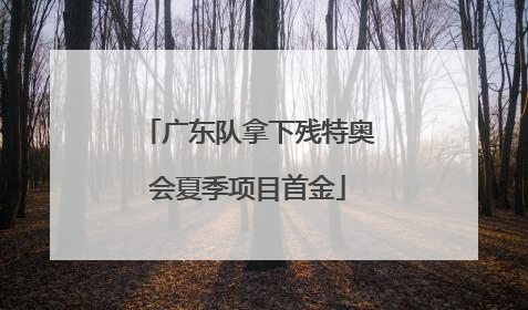 广东队拿下残特奥会夏季项目首金