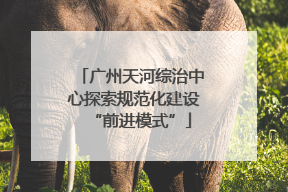 广州天河综治中心探索规范化建设“前进模式”