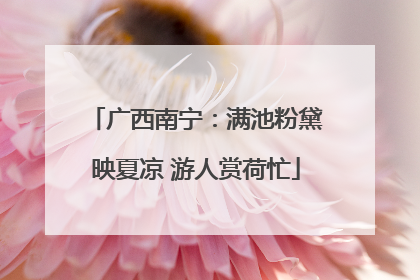 广西南宁：满池粉黛映夏凉 游人赏荷忙