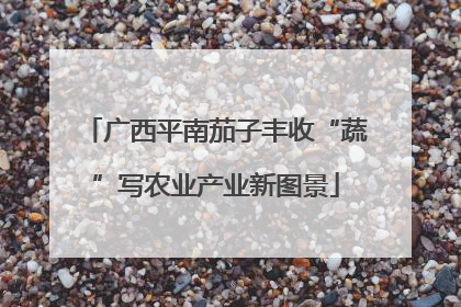 广西平南茄子丰收“蔬”写农业产业新图景