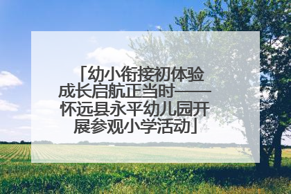 幼小衔接初体验 成长启航正当时——怀远县永平幼儿园开展参观小学活动
