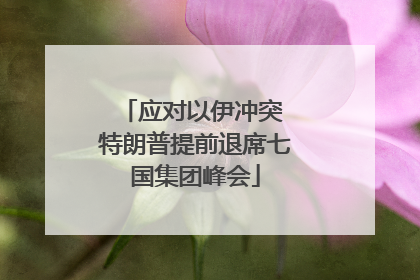 应对以伊冲突 特朗普提前退席七国集团峰会