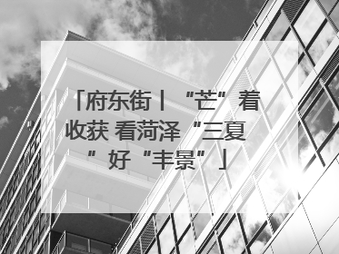 府东街丨“芒”着收获 看菏泽“三夏”好“丰景”