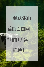 延庆张山营镇百亩网红稻田启动插秧