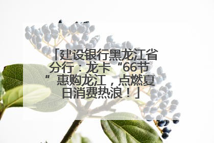 建设银行黑龙江省分行：龙卡“66节”惠购龙江，点燃夏日消费热浪！