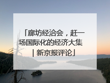 廊坊经洽会，赶一场国际化的经济大集｜新京报评论