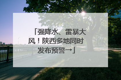 强降水、雷暴大风！陕西多地同时发布预警→