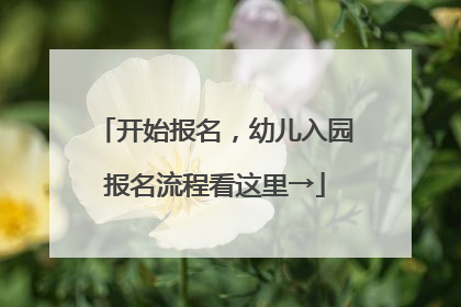 开始报名，幼儿入园报名流程看这里→