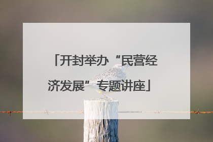 开封举办“民营经济发展”专题讲座