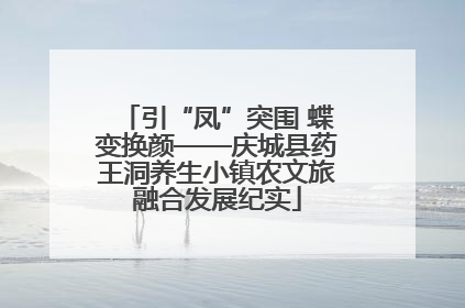 引“凤”突围 蝶变换颜——庆城县药王洞养生小镇农文旅融合发展纪实