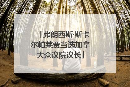 弗朗西斯·斯卡尔帕莱贾当选加拿大众议院议长