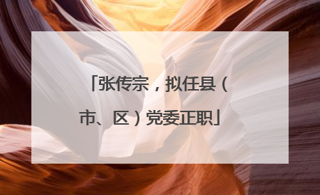张传宗，拟任县（市、区）党委正职