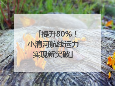 提升80％！小清河航线运力实现新突破