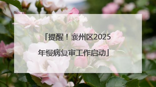 提醒！襄州区2025年慢病复审工作启动