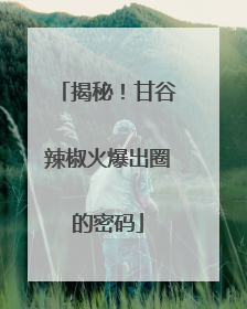 揭秘！甘谷辣椒火爆出圈的密码