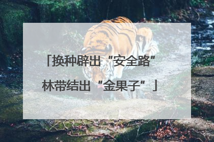 换种辟出“安全路” 林带结出“金果子”